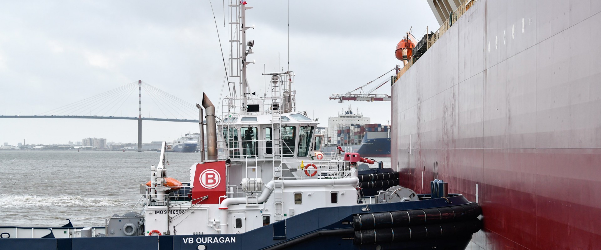 Reportage à bord des remorqueurs : véritables « poissons-pilotes » de l’estuaire